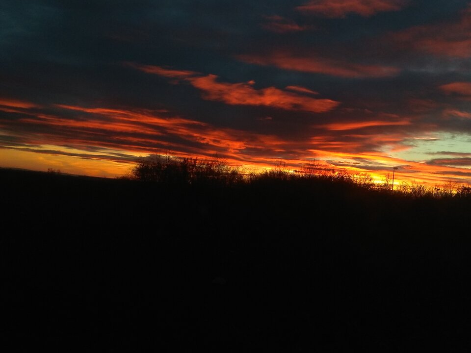 IMG_20201121_162132.jpg - fajnigorzow