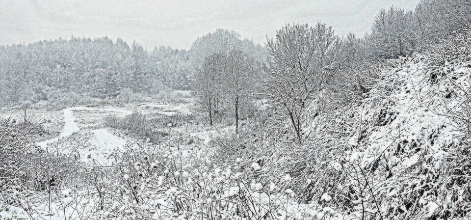 DSC_3927.JPG - demon13