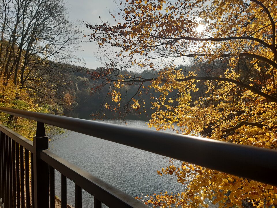 20201115_122324.jpg - torii99