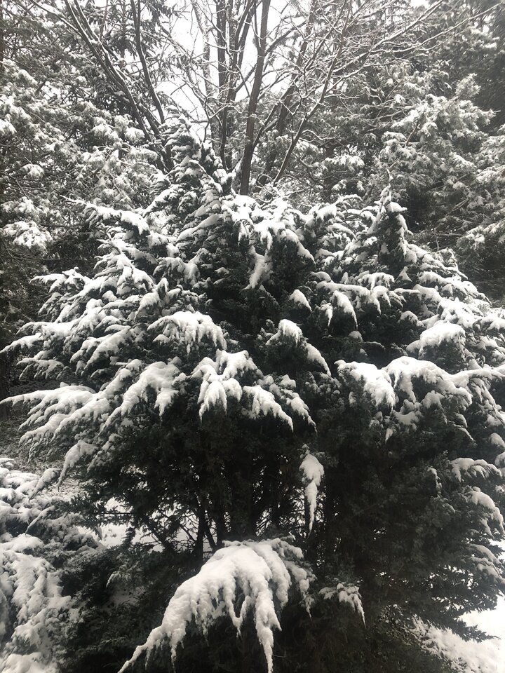 F1D5994D-1384-4887-95B9-0D4D0995C960.jpeg - lovinglovers