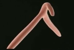 Kto wie co to jest i jak się "TO" obsługuje?