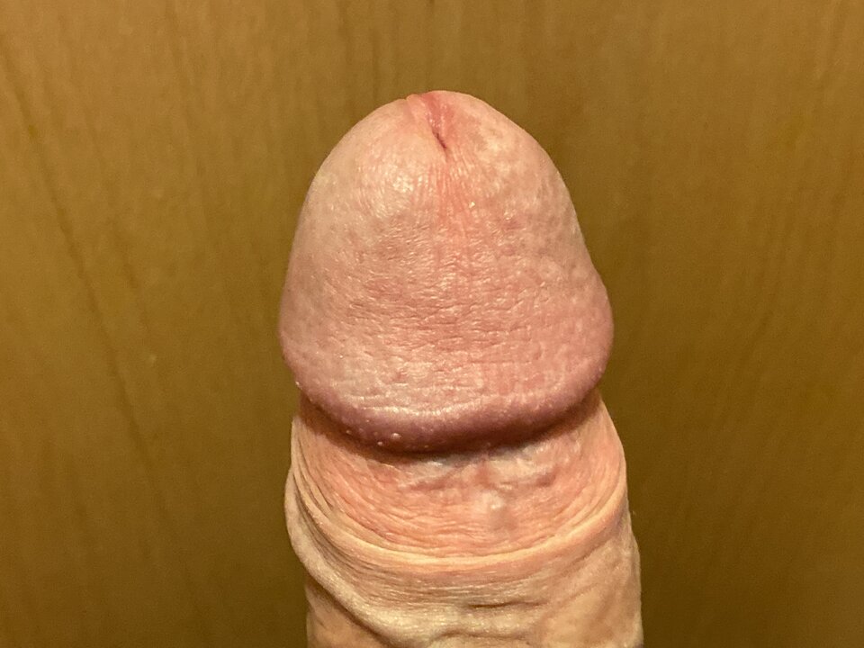 image.jpg - lordnorbi