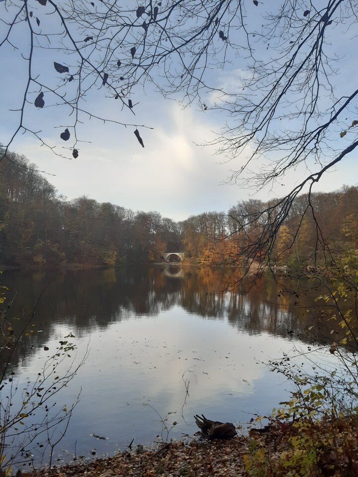 20201115_124812.jpg - torii99