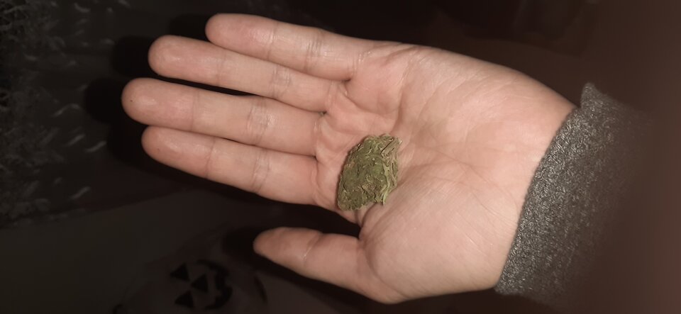 16071277550173371908489383468390.jpg - Matisek25