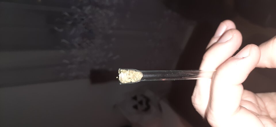 16071278549332798896108952747455.jpg - Matisek25