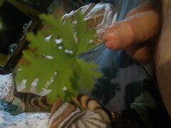 20201205_141043.jpg