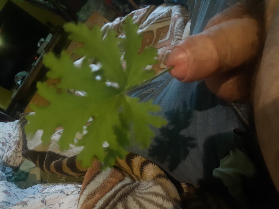 20201205_141043.jpg - Mniejszezlo