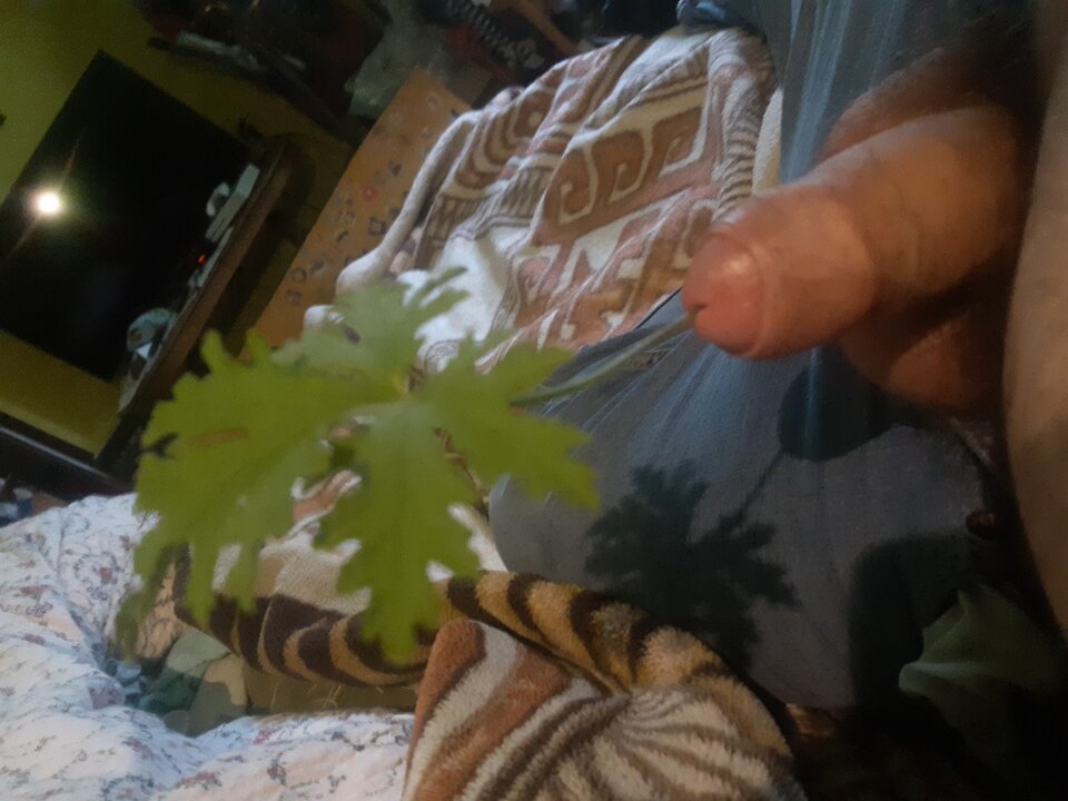 20201205_141112.jpg - Mniejszezlo