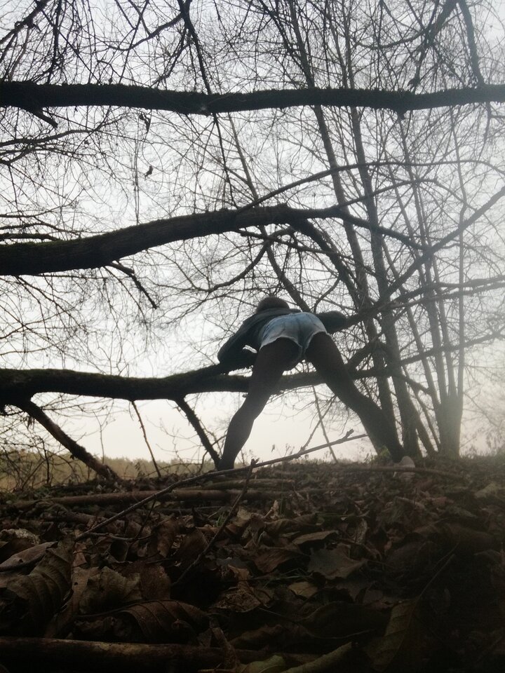 IMG_20201205_151909.jpg - malinka7334