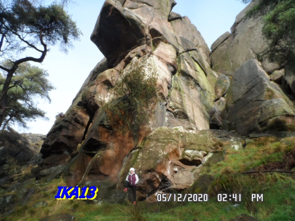 SAM_3076.JPG - ika13