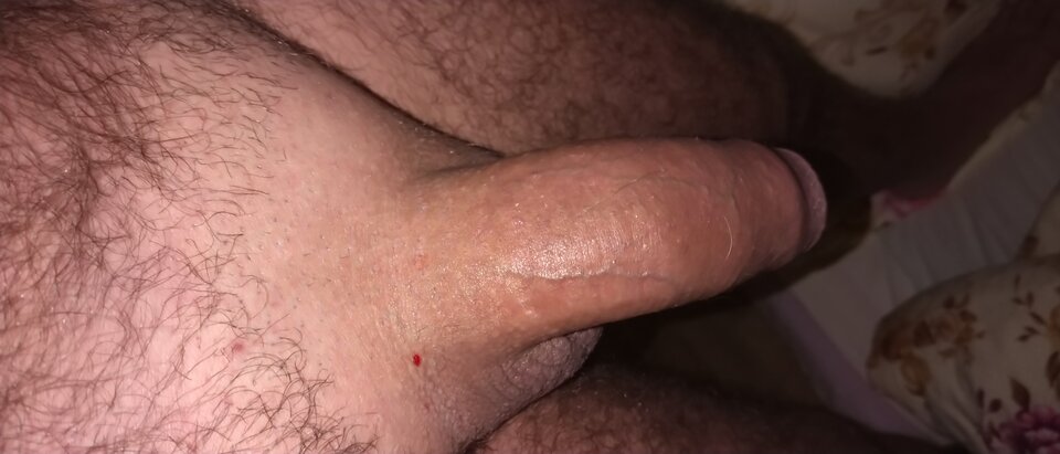 DSC_1170.JPG - Maximums