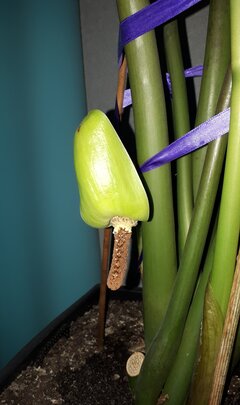 20201206_144646.jpg