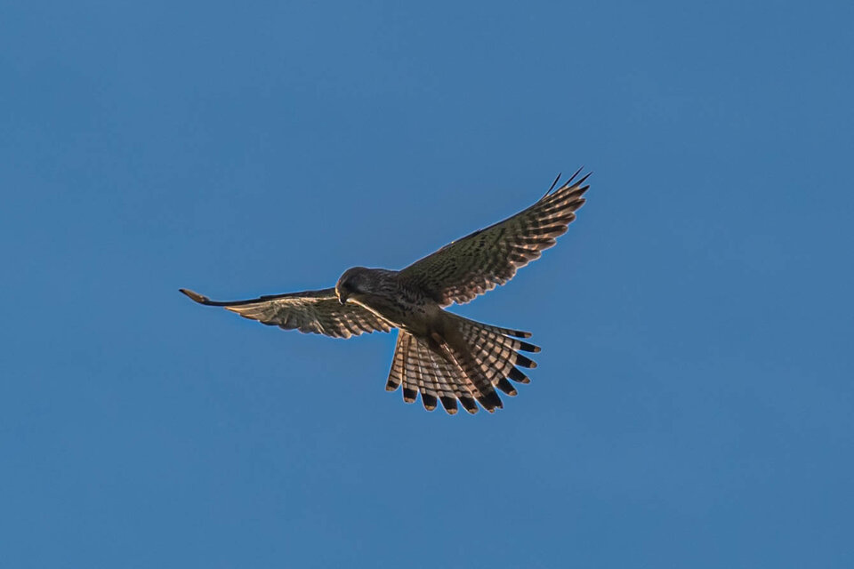 Wysoko nad ziemią - mystic