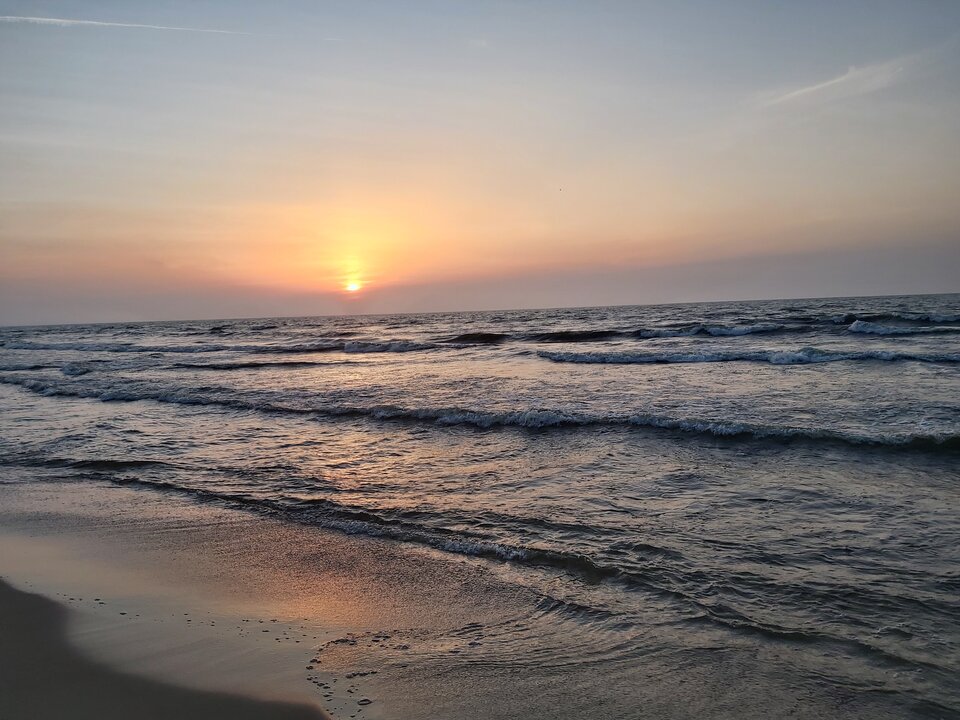 20200612_205641.jpg - Curtyzana