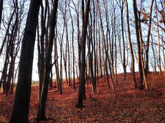 IMG_20201207_141352.jpg