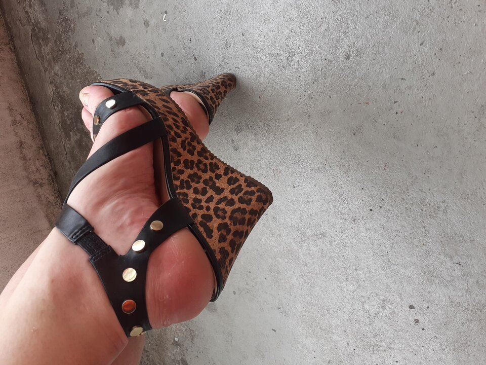 20200814_110828.jpg - elzbietka