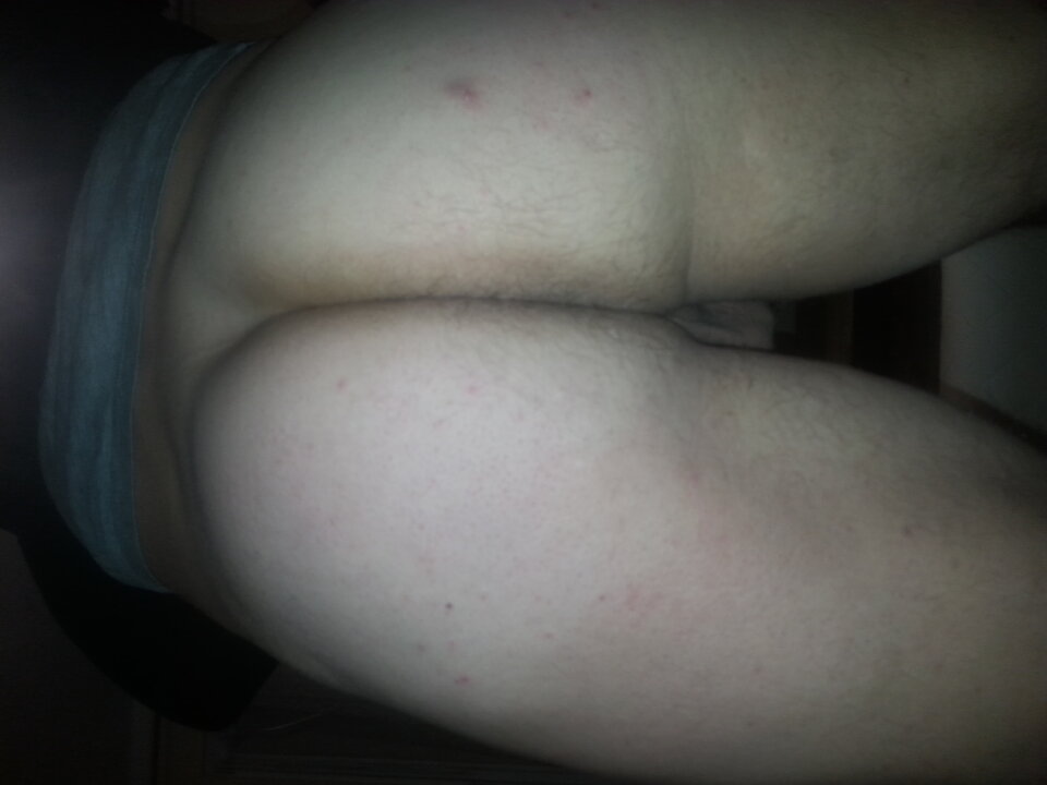 20201208_035923.jpg - Byczek80n