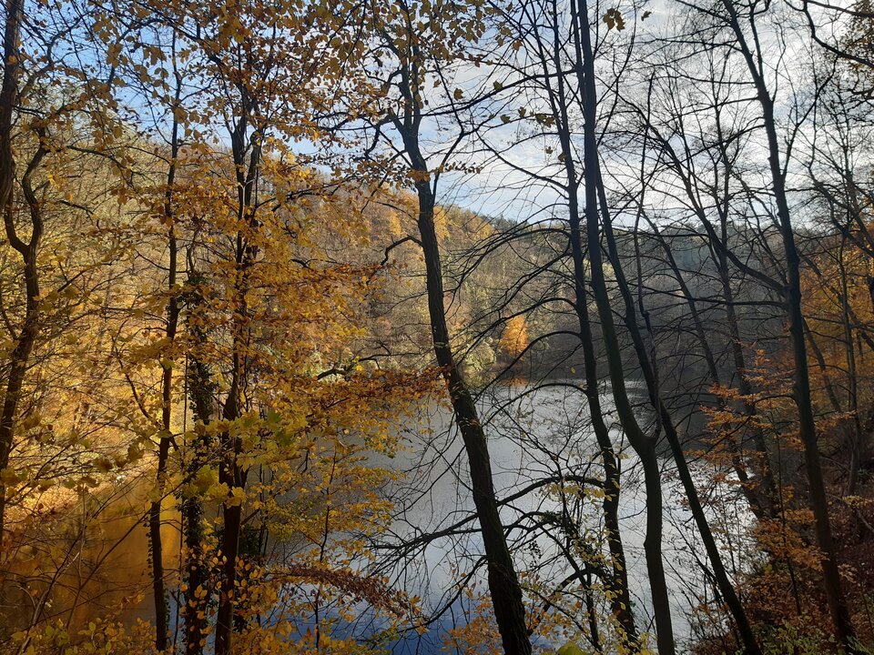 20201115_131856.jpg - torii99