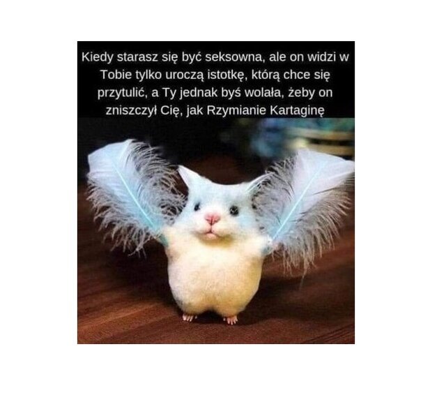 jpgjpg.jpg - Ch4ng3R