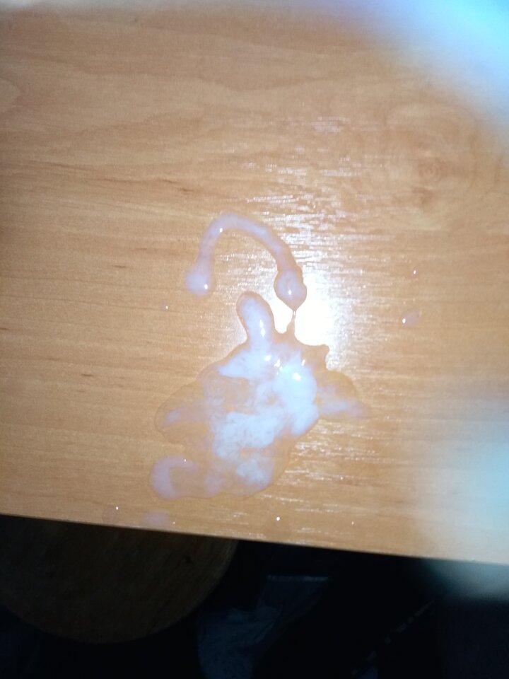 IMG_20201207_151216.jpg - cinek994