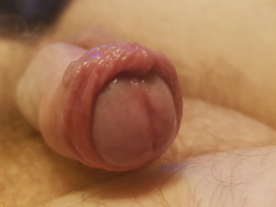 20201209_151628.jpg - StaszekPtaszek