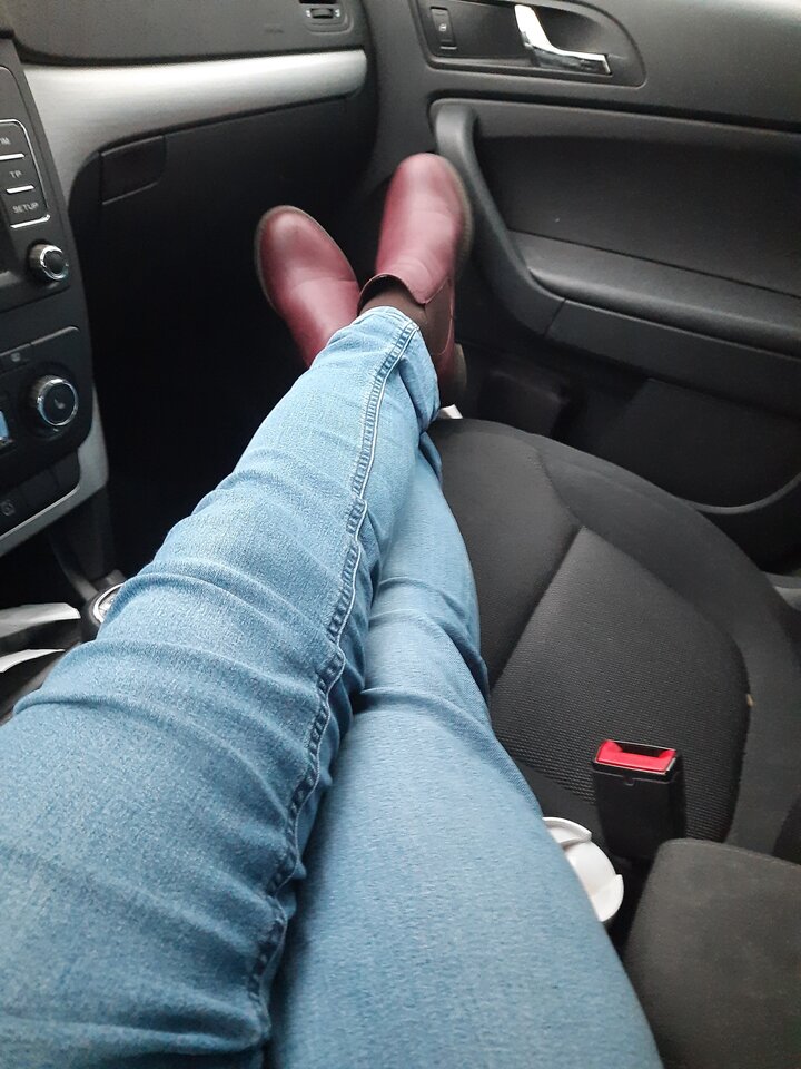 16075832728262874750712589384191.jpg - Palciusia