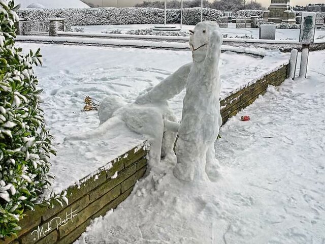 IMG-20201210-WA0000.jpg - Jakisfacet1