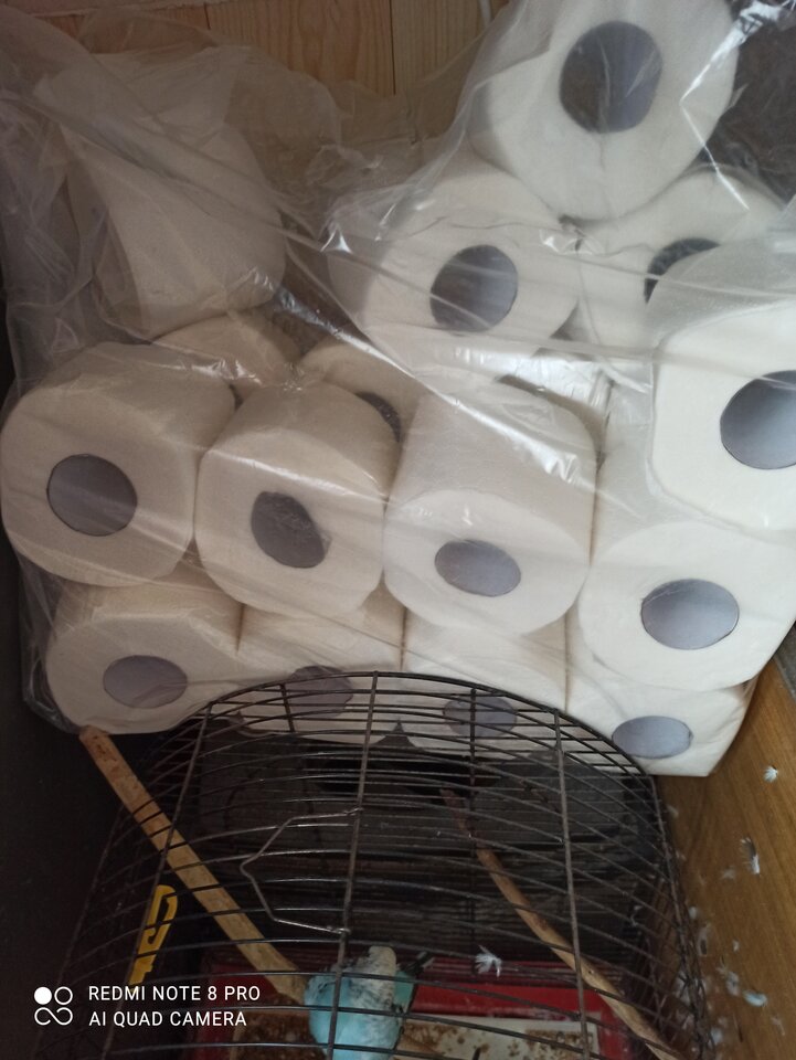 IMG_20201130_123420.jpg - nieznanyJaa