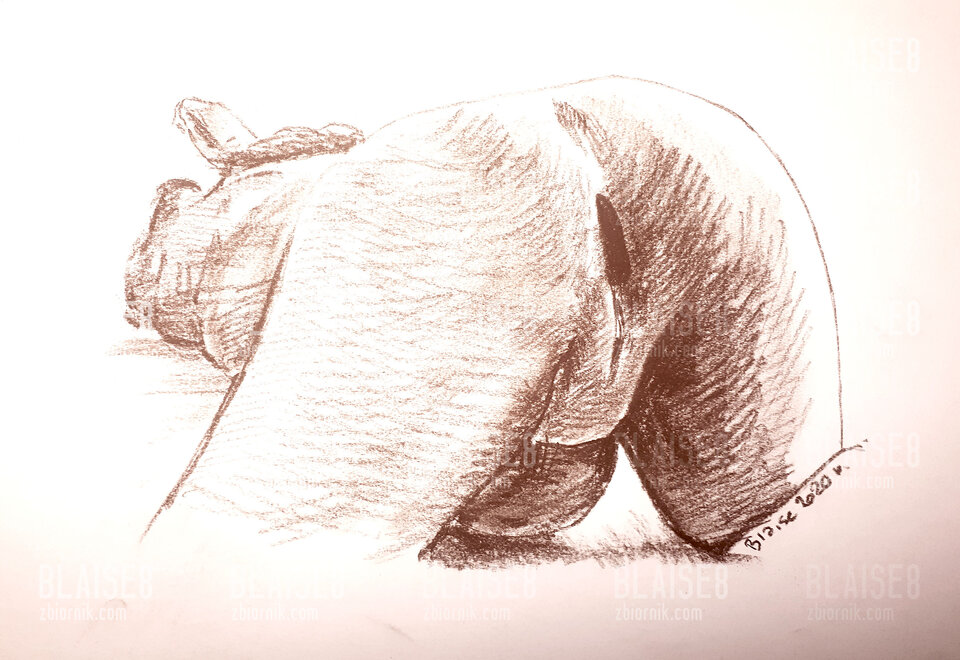 Art no. 74 - blaise8