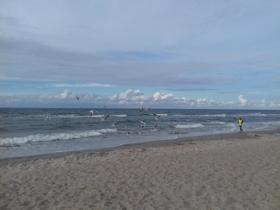 20180915_161354.jpg - torii99