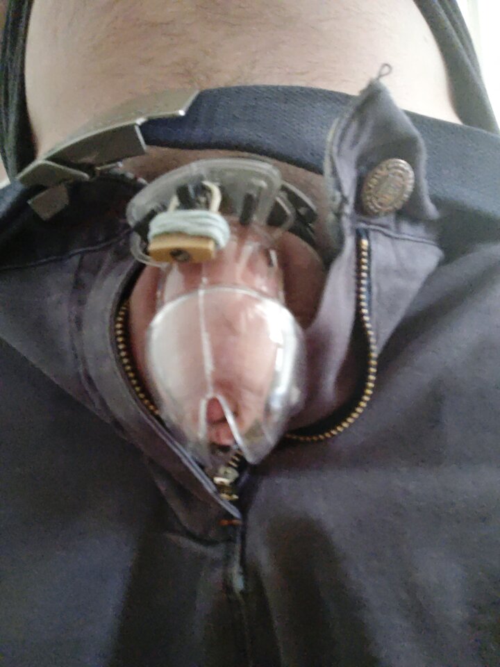 16078561011214546766177500504068.jpg - widzget