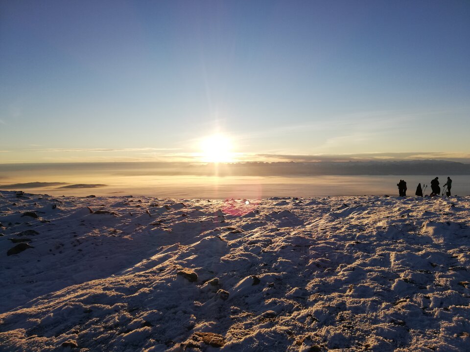 IMG_20201213_075435.jpg - Mar1992