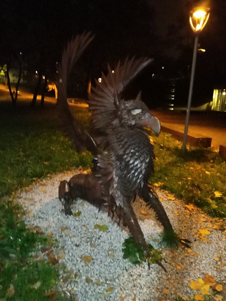 IMG_20201108_231145.jpg - mrko