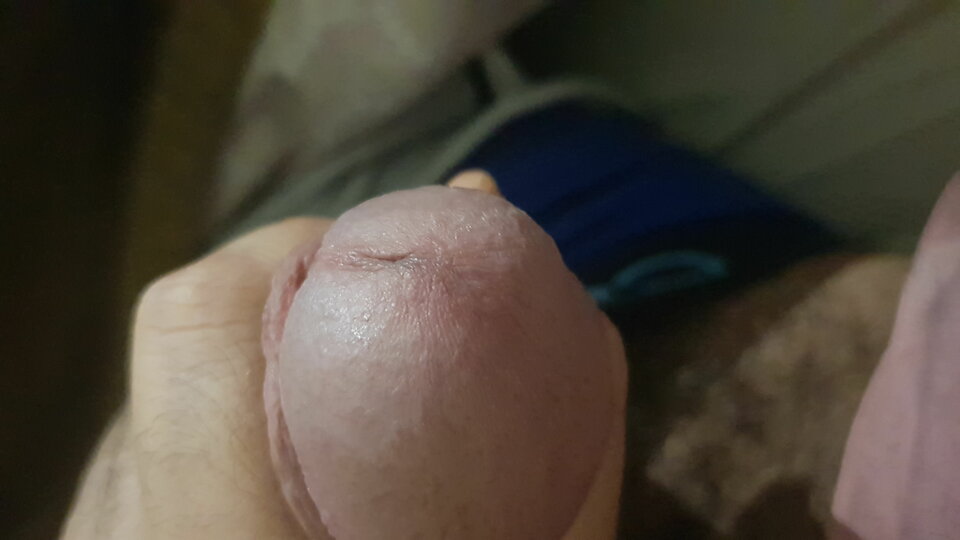 IMG-20201006-WA0007.jpeg - Grubasek77