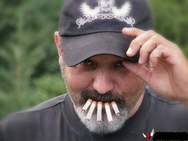 image.php.jpeg - bears64