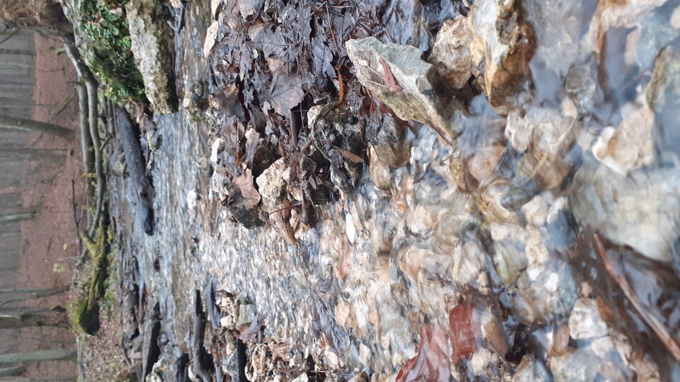 20201216_132414.jpg - Lubieeeeeeee