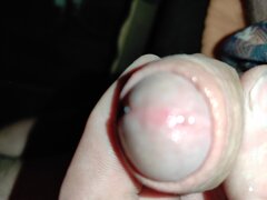 IMG_20201216_155034.jpg