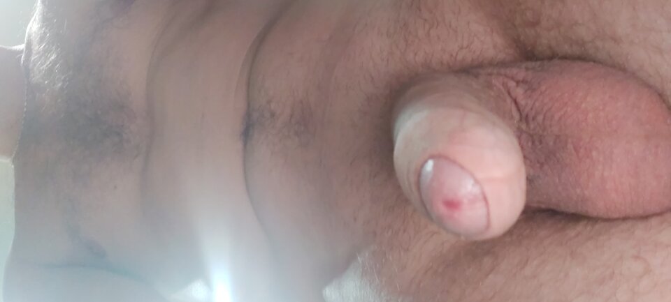 16081396886845635287468657873441.jpg - bialy198