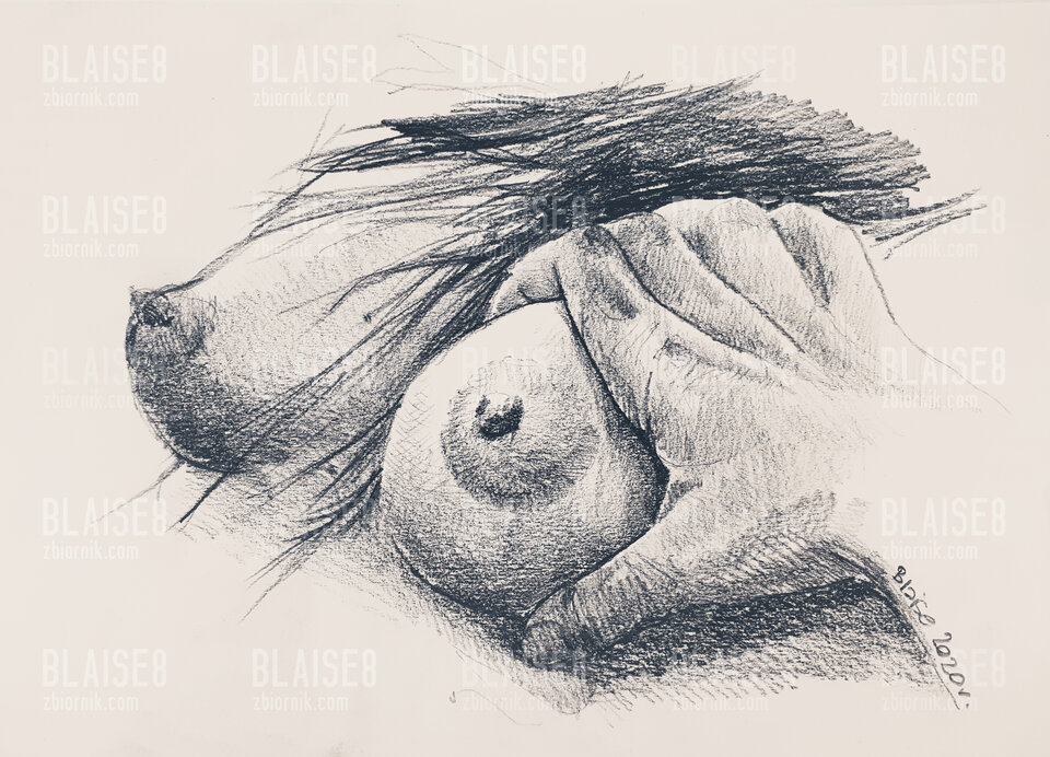 Art no. 76 - blaise8