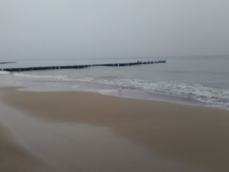 IMG_20201210_123105-horz.jpg - Camel1984