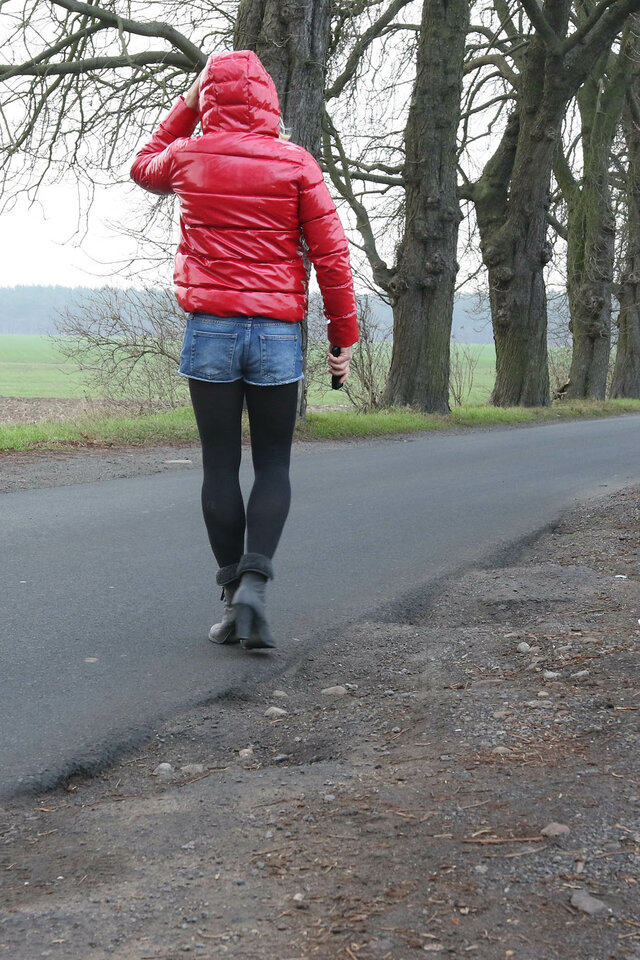 8646a.jpg - piter_ulegly