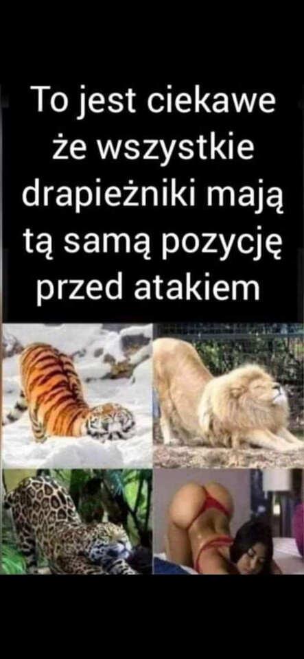 Screenshot_20201217-112331_Gallery.jpg - Julaa