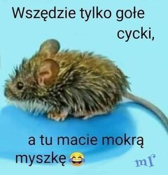 Rozjebało mnie na maxa...