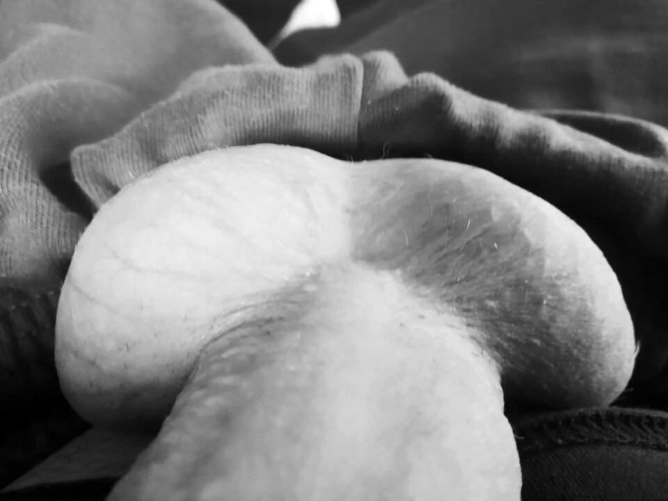 IMG_20201219_112737.jpg - Popatrze88