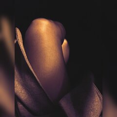 SI_20201219_192537.jpg