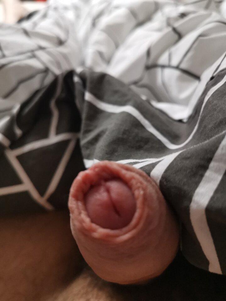 16084612744917862410385913764592.jpg - Voresfraekkeliv