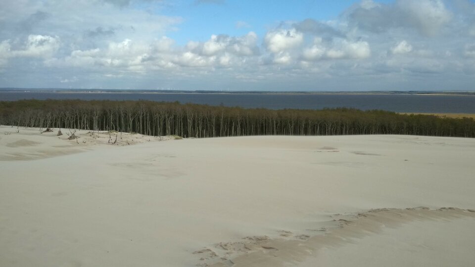 IMG_20190502_171344.jpg - Nikod44