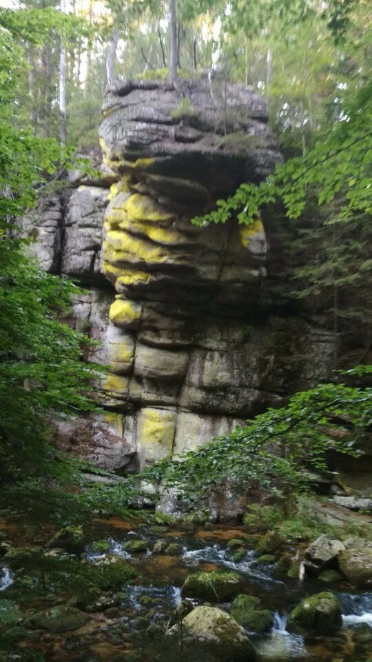 IMG_20200807_175314.jpg - Nikod44