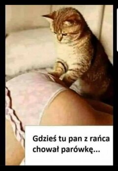 FB_IMG_1608484379478.jpg