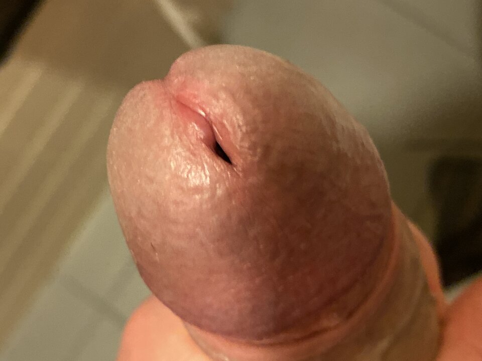 image.jpg - lordnorbi